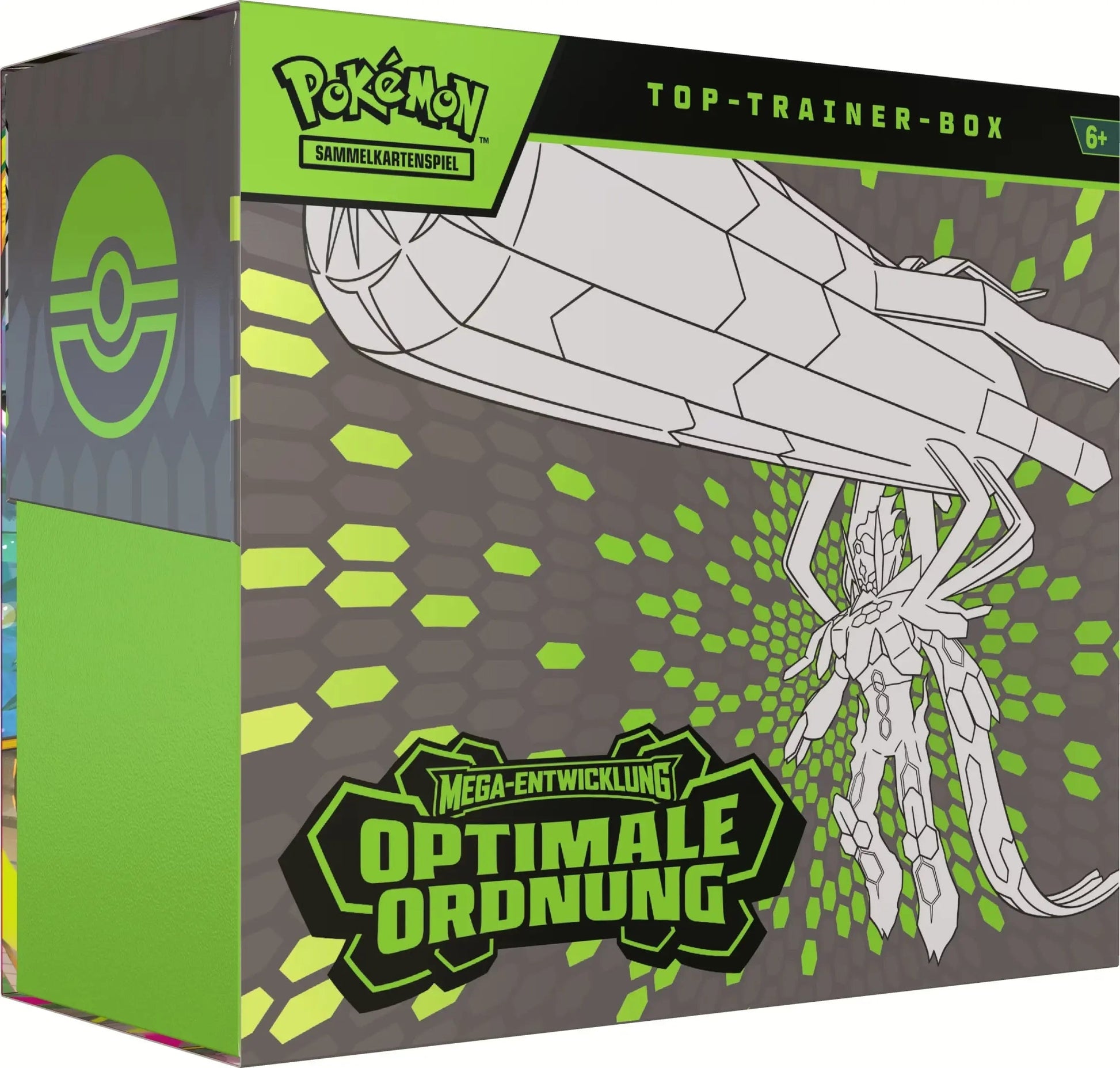 [MESSE] Optimale Ordnung – Top Trainer Box TTB – Pokémon Deutsch 🇩🇪 CoolUp Cards